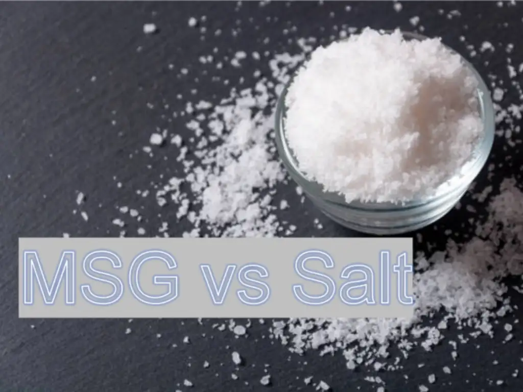 MSG vs Salt: All You Need to Know